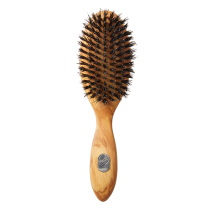 Altesse PRESTIGE Handmade Repair & Shine Brush - All Hair Types