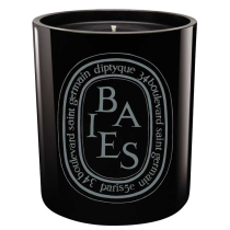 Diptyque Baies (Berries) Colored Glass Candle