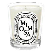 Diptyque Mimosa Candle