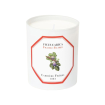 Carriere Freres Ficus Carica - Fig Tree Candle
