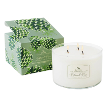 Soap and Paper Factory Roland Pine 3-Wick Soy Candle
