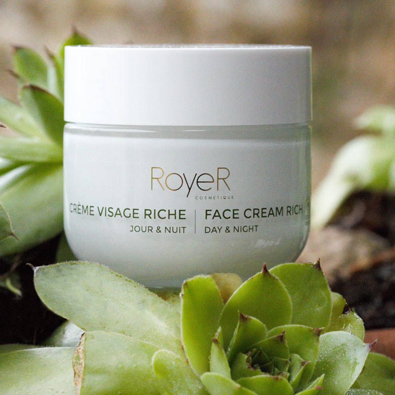 Anti Aging Firmness Rich Face Cream With Snail Slime