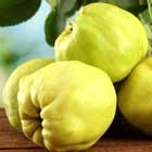 Quince Fruit Extract